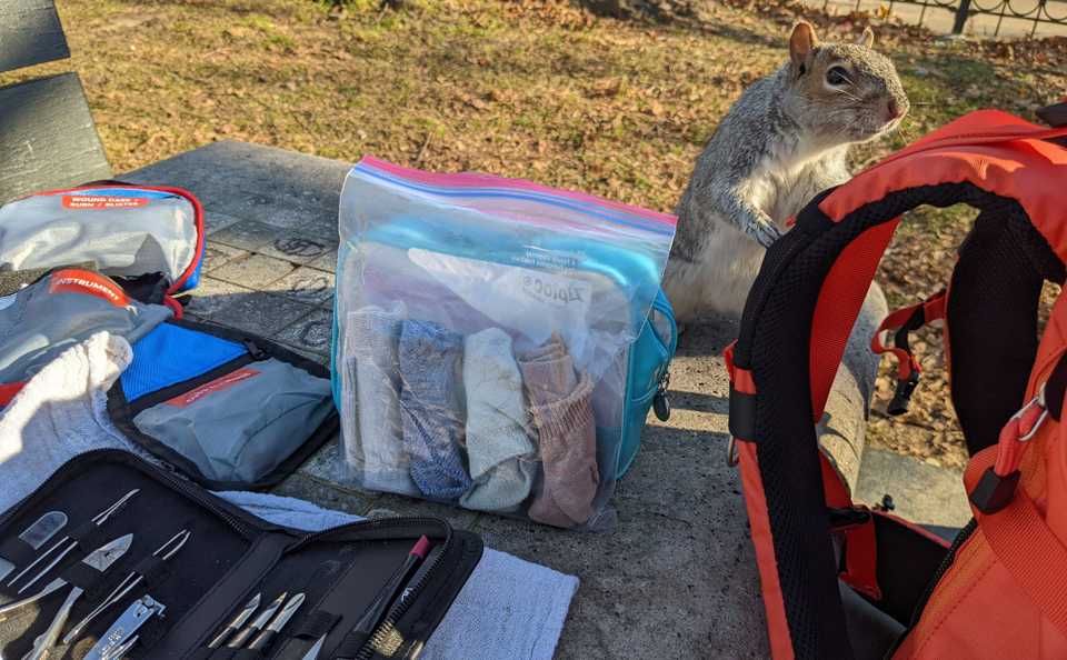 medical kit on table, interested squirrel